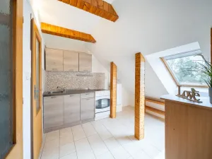 Prodej rodinného domu, Horní Planá, Komenského, 250 m2
