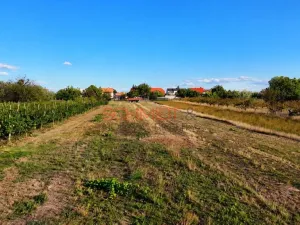 Prodej pozemku pro bydlení, Lanžhot, Školní, 616 m2