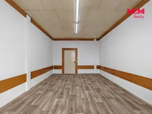 Pronájem kanceláře, Horšovský Týn - Malé Předměstí, Zahradní, 21 m2