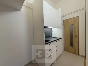 Pronájem bytu 2+1, Praha - Žižkov, Hartigova, 38 m2