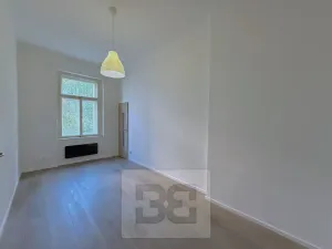 Pronájem bytu 2+1, Praha - Žižkov, Hartigova, 38 m2