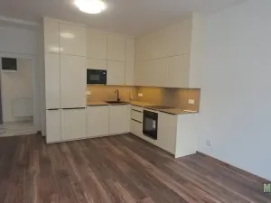 Pronájem bytu 3+kk, Praha - Žižkov, Jeseniova, 65 m2