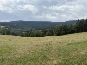 Prodej louky, Hamry, 84928 m2