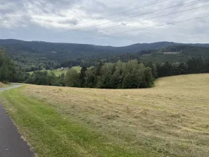 Prodej louky, Hamry, 84928 m2