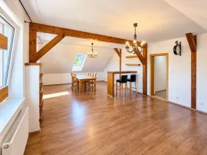 Prodej bytu 5+1, Dubné - Třebín, 170 m2