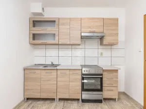 Pronájem bytu 1+1, Blovice, Americká, 37 m2