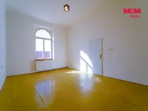 Pronájem bytu 2+1, Plzeň - Vnitřní Město, Rooseveltova, 81 m2