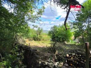 Prodej pozemku pro bydlení, Čejetice - Sedlíkovice, 689 m2