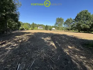 Prodej pozemku pro bydlení, Orlová, 5699 m2