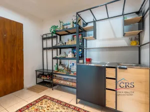 Prodej bytu 2+kk, Praha - Nusle, Družstevní, 44 m2