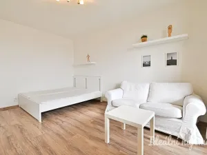 Pronájem bytu 1+1, Brno, Hodonínská, 32 m2
