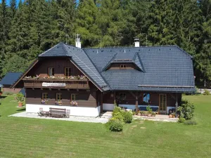 Prodej rodinného domu, Nové Hutě, 300 m2