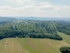 Prodej lesa, Hostašovice, 17015 m2