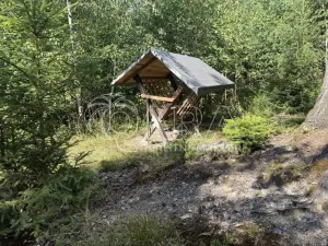 Prodej lesa, Hostašovice, 17015 m2