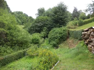 Prodej pozemku, Liberk - Prorubky, 720 m2