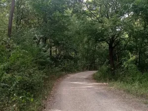 Prodej louky, Lednice - Nejdek, 5680 m2