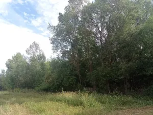 Prodej louky, Lednice - Nejdek, 5680 m2