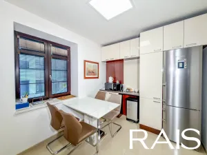 Prodej vícegeneračního domu, Hodonín, Muchova, 235 m2