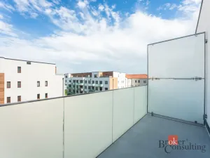 Pronájem bytu 1+kk, Olomouc - Nová Ulice, Třída Jiřího Pelikána, 39 m2
