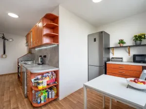 Prodej bytu 2+1, Vyškov - Vyškov-Předměstí, 57 m2
