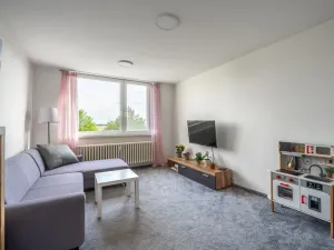 Prodej bytu 2+1, Vyškov - Vyškov-Předměstí, 57 m2