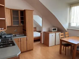 Pronájem bytu 2+kk, Brno, Cacovická, 45 m2