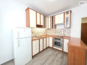 Pronájem bytu 1+1, Příbram - Příbram VII, Mariánská, 39 m2