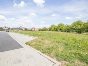 Prodej pozemku, Stolany, 2629 m2