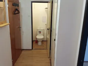 Prodej bytu 1+kk, Přemyslovice, 33 m2