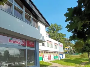 Pronájem bytu 2+kk, Svitavy, Svitavská, 50 m2