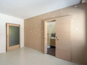Pronájem bytu 2+kk, Mokrá-Horákov, 102 m2