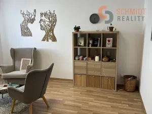Pronájem kanceláře, Hustopeče, Janáčkova, 16 m2