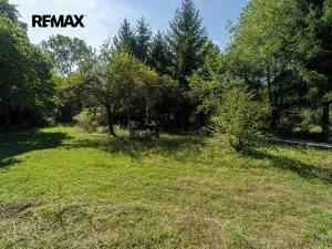 Prodej zahrady, Nymburk, 2442 m2