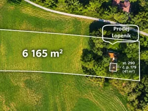 Prodej pozemku pro bydlení, Lopeník, 6165 m2