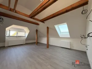 Pronájem bytu 1+kk, Hlučín, Zahradní, 59 m2
