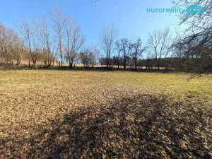 Prodej pozemku pro bydlení, Bílsko - Netonice, 1125 m2
