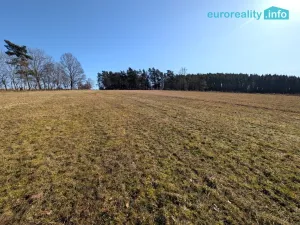 Prodej pozemku pro bydlení, Bílsko - Netonice, 4553 m2
