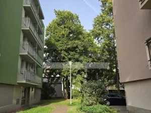 Pronájem pokoje, České Budějovice - České Budějovice 3, J. Plachty, 19 m2