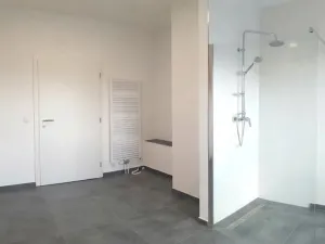 Pronájem bytu 3+kk, Olešná, 102 m2