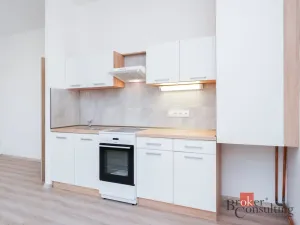 Pronájem bytu 2+kk, Mlékojedy, 52 m2