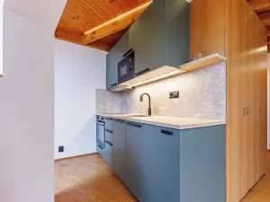 Pronájem bytu 1+kk, Olomouc, Masarykova třída, 33 m2