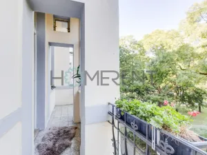 Pronájem bytu 2+kk, Praha - Karlín, Kaizlovy sady, 53 m2