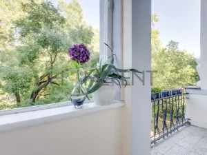 Pronájem bytu 2+kk, Praha - Karlín, Kaizlovy sady, 53 m2