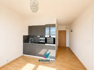 Prodej bytu 1+1, Krupka, Karla Čapka, 36 m2
