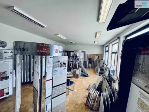 Pronájem obchodního prostoru, Chlumčany, U Keramičky, 168 m2