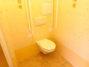 Pronájem bytu 1+kk, Olešná, 22 m2