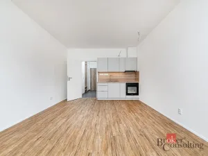 Pronájem bytu 1+kk, Plzeň - Jižní Předměstí, Železná, 35 m2