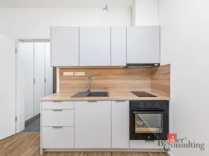 Pronájem bytu 1+kk, Plzeň - Jižní Předměstí, Železná, 35 m2