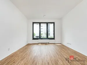 Pronájem bytu 1+kk, Plzeň - Jižní Předměstí, Železná, 35 m2