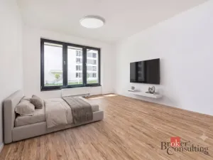 Pronájem bytu 1+kk, Plzeň - Jižní Předměstí, Železná, 35 m2